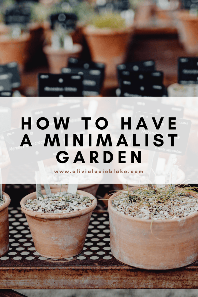 How To Have a Minimalist Garden