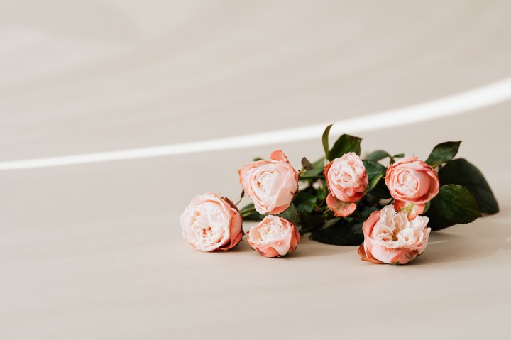 How To Find Your Source of&nbsp;Happiness