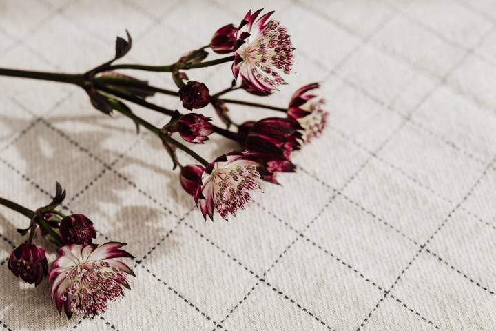 5 Things Nobody Tells You About&nbsp;Grief