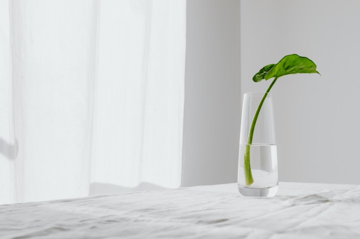 How to Create a Home With Self-Care in&nbsp;Mind