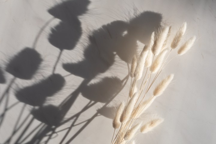 4 Things I’ll Miss About&nbsp;2020