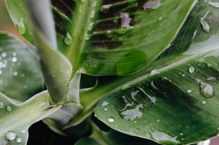 5 Tips To Prepare For The Wet Autumn&nbsp;Weather