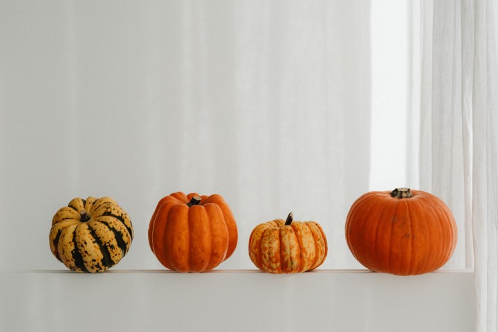 20 Autumn Blog Post&nbsp;Ideas